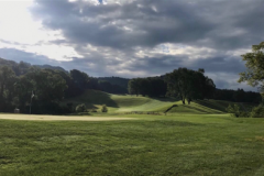 #17 Green