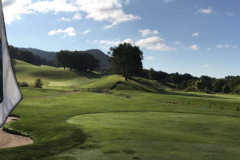 #17 Flagstick