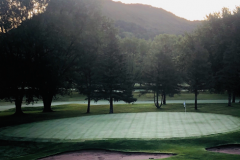 #6 Green