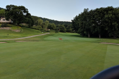 #7 Green