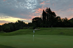 #8 Green