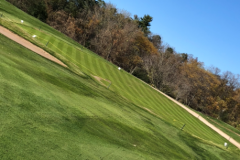 Chipping Green
